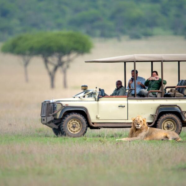 Embark on the Best of Kenya and Tanzania Safari with Reteti Safaris. Discover the breathtaking beauty & wildlife of the Mara