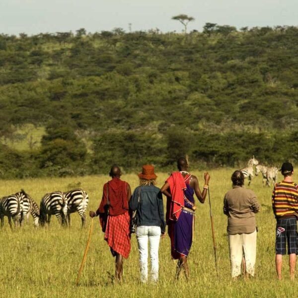 Explore the Kenya and Tanzania safari with Reteti. Explore iconic wildlife destinations & stunning landscapes.