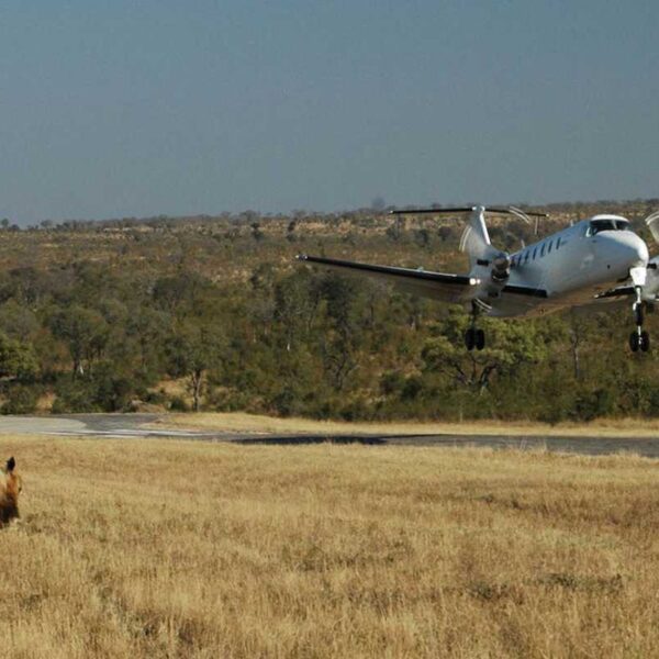 Plane taking off for the Meru, Kenya Air Safari