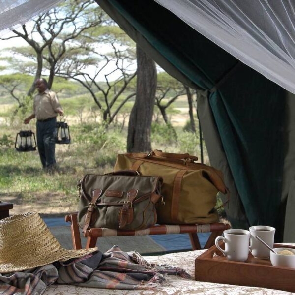 Experience the ultimate Tanzanian safari with our Tarangire and Ngorongoro Adventure.